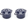 6 Quarts (Pack of 2)